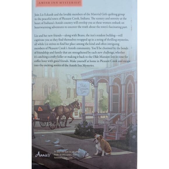 💧Secrets of the Amish Diary by Rachael Phillips - Picture 2 of 2